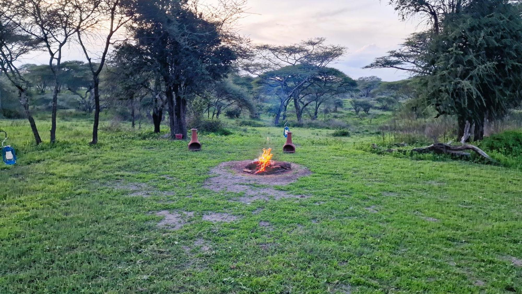 Africa Safari South Serengeti Ndutu Ngorongoro Sinoni Exteriör bild