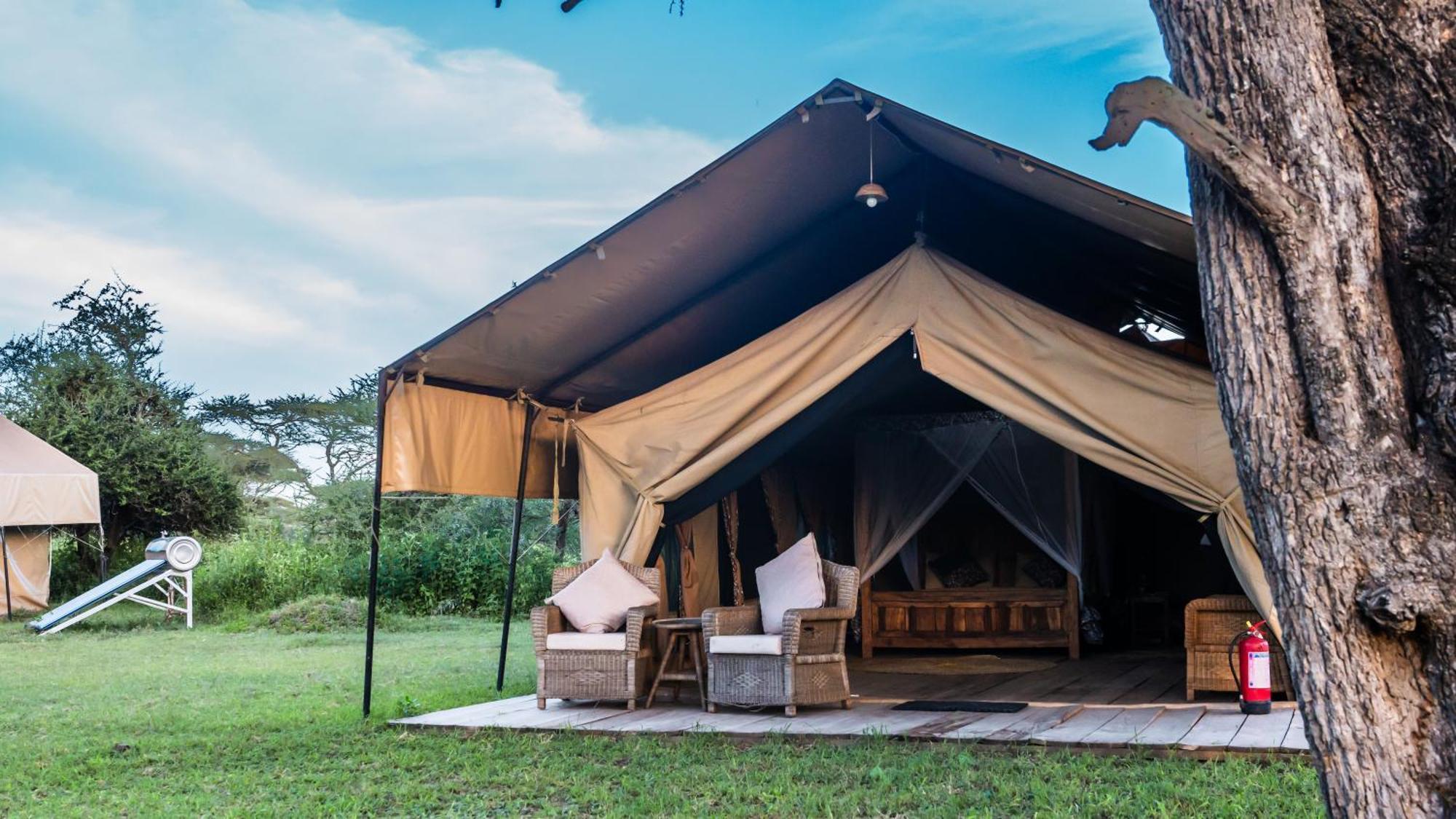 Africa Safari South Serengeti Ndutu Ngorongoro Sinoni Exteriör bild