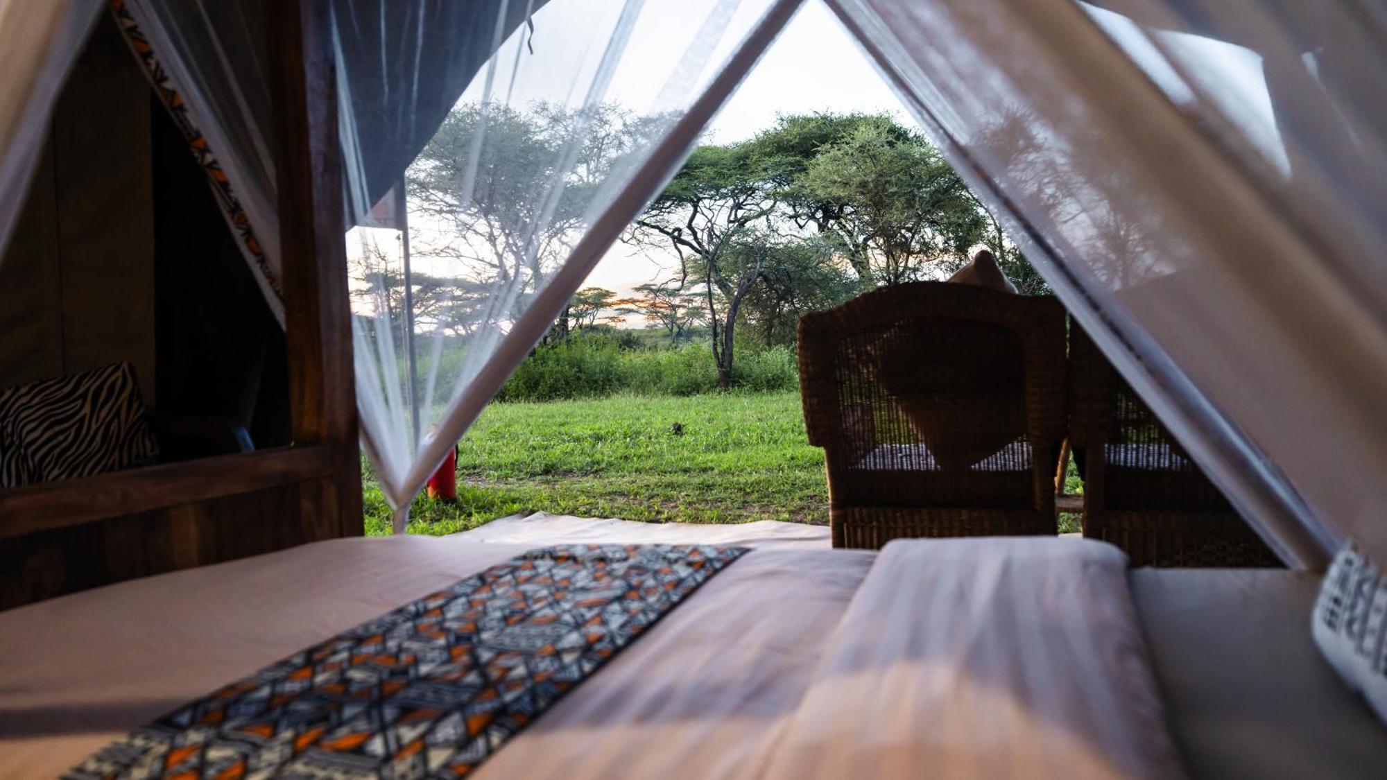 Africa Safari South Serengeti Ndutu Ngorongoro Sinoni Exteriör bild